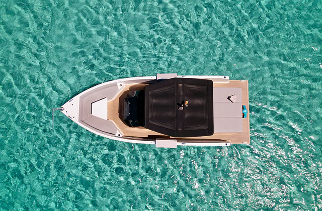 Habeas Corpus photo 4